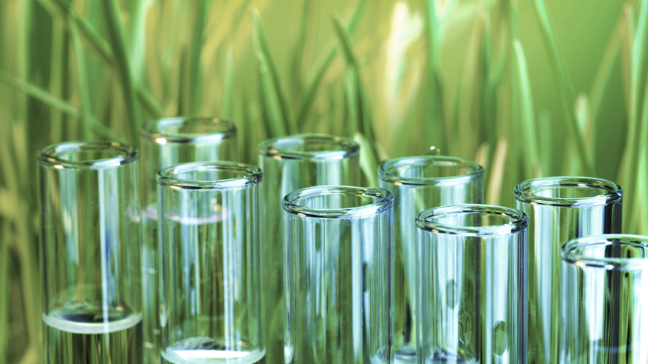 Many glass test tubes with liquid and green grass on background